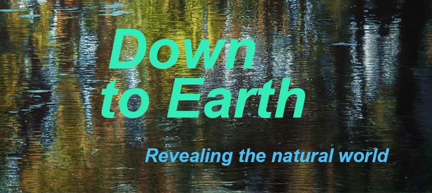 W1siziisijiwmjyvmdqvmdyvmjbfmdffntjfmzi1x1dlynnpdgvfqmfubmvylmpwzyjdxq?sha=49ff9b27